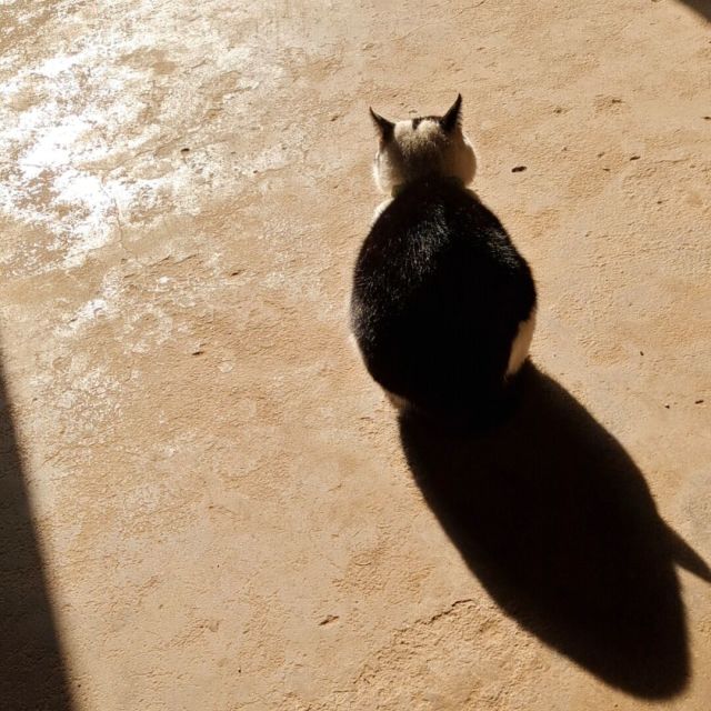 FatPanda's Blog - BG5CVT